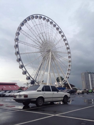 ขายรถ คลาสสิก ซักคัน BMW ชีรีย์ E12 เกิดเมื่อ 40 ปี ที่แล้ว (1974 หัวฉีดรุ่นแรก) สภาพ สมบูรณ์ ที่สุด ขายรถ คลาสสิก ซักคัน BMW ชีรีย์ E12 เกิดเมื่อ 40 ปี ที่แล้ว (1974 หัวฉีดรุ่นแรก) สภาพ สมบูรณ์ ที่สุด