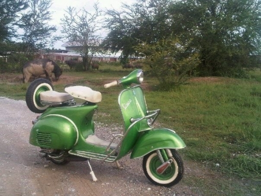 ขายเวสป้า