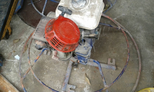 ขายแมงปอ 3 ตัว ขายแมงปอ 3 ตัว