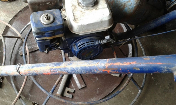 ขายแมงปอ 3 ตัว ขายแมงปอ 3 ตัว