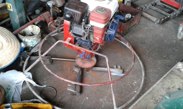 ขายแมงปอ 3 ตัว