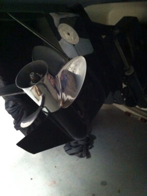 ++ขายเรือ Bayliner 185 ปี2008++