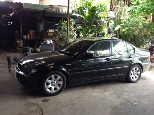 Bmw318i se