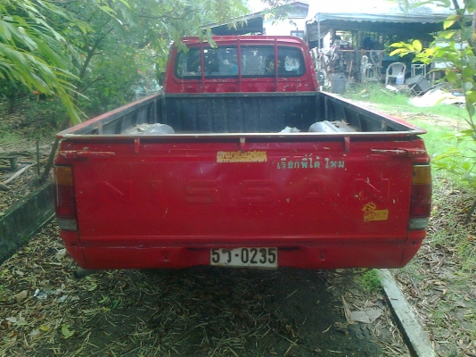 ขายช้าง 620 ทะเบียน ชุดโอนครบ