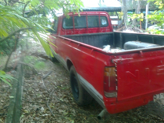 ขายช้าง 620 ทะเบียน ชุดโอนครบ