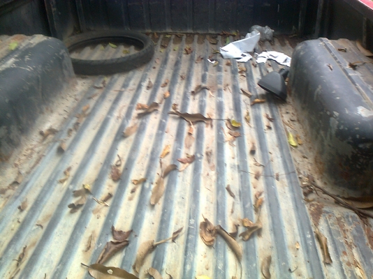 ขายช้าง 620 ทะเบียน ชุดโอนครบ