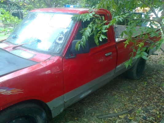 ขายช้าง 620 ทะเบียน ชุดโอนครบ