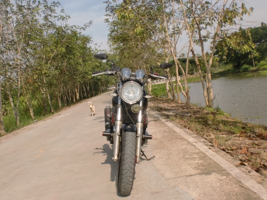 ขายรถบิ๊กไบค์ YAMAHA XJR 400 ราคา 58,000 ด่วนนน