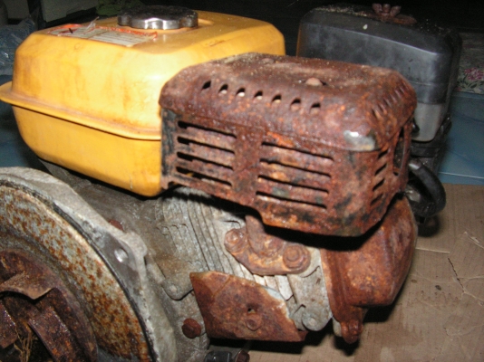 ขอขายควายสักตัว