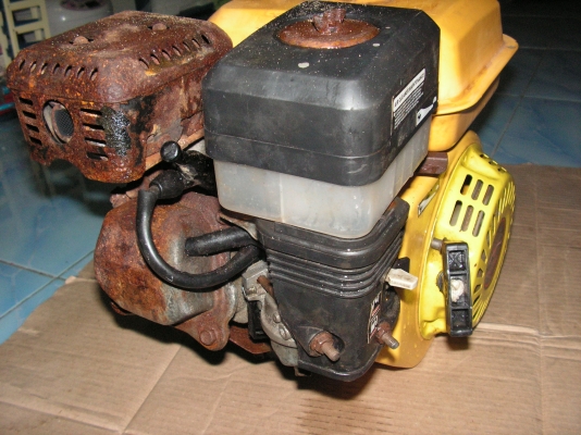 ขอขายควายสักตัว