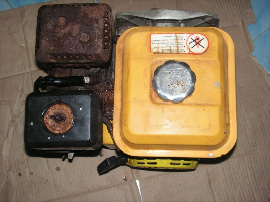 ขอขายควายสักตัว