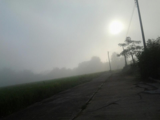 ขายรถดัน  D 60 S  380,000