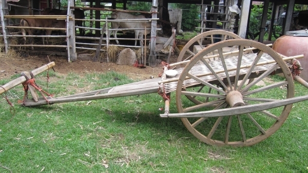 ขายเกวียนโบราณไม้พยุงทั้งหลังหลังนี้ขายแล้วครับตอนนี้มีมาใหม่อีก3หลังสนใจติดต่อ080-1696651 เกวียนสภาพดีพร้อมใช้งาน ปัจจุบันก้อใช้งานอยู่คับ มียุ3หลังด่วนๆๆๆเปิดที่หลังละ13000บาทราคาคุยกันได้ครับสนใจติดต่อ 0801696651ตลอด24ชั่วโมงคับ