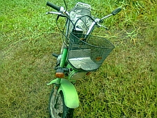 ขาย ชาลี ราคา 7500