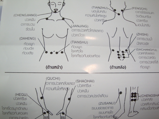 ขายเครื่องนวดไฟฟ้า