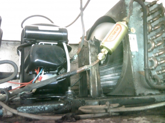 ตู้เย็น3บานพี่ที่อยู่ปทุมรับไปดูเเลต่อแล้วครับ ตู้เย็น3บานพี่ที่อยู่ปทุมรับไปดูเเลต่อแล้วครับ