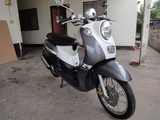 ขายฟีโน่ ปี 51 ราคา ทะเบียนพร้อมโอน สนใจต่อรองได้คร้าบ