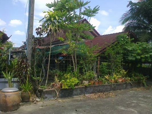 ขออณุญาตินะครับฝากขายบ้านเดียวให้พี่น้องชาวเว็ปของเราที่ใครอยากมีบ้านที่จังหวัดจันทบุรีราคาถูกๆๆเจ้าของต้องการใช้เงินด่วน ขออณุญาตินะครับฝากขายบ้านเดียวให้พี่น้องชาวเว็ปของเราที่ใครอยากมีบ้านที่จังหวัดจันทบุรีราคาถูกๆๆเจ้าของต้องการใช้เงินด่วน