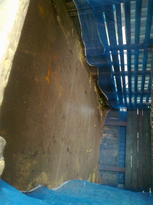 ขายด่วน  NPR115 ปี 2538 ห้างแท้ ( เสี่ยสั่งลุย  )รถเดิมสวยพร้อมใช้งาน