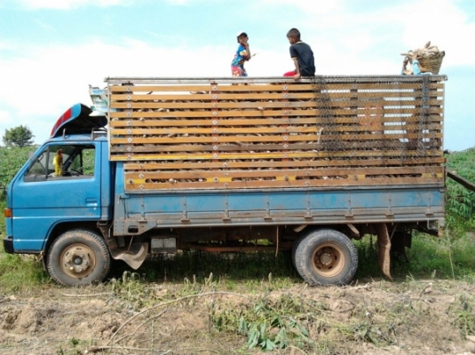 ***ขายแล้วครับขอบคุณ Truck2hand เสี่ยสั่งลุย!!! ห้างแท้ ปี38 จัดหนักพร้อมลุยNPR 59LU5FM 115 4BD1 Fหลัง สโลว์พร้อม ยาง8.25 ดี6เส้น คัสซีสวย วางเหล็กเสริมหนาแข็งแรง คอกไม้สูงสวยงาม ไม่ผุ 15ตันสบาย ราคาต่อรองได้ครับ