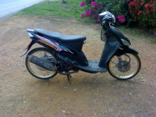 มีโอปี49สองคัน10500