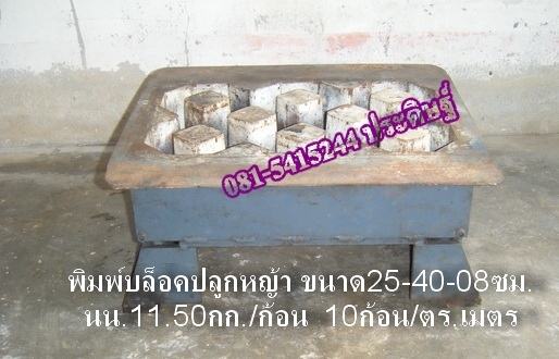 ขาย-พิมพ์อิฐบล็อกปลูกหญ้า พร้อมแท่นกลับบล็อก ใช้ติดตั่งเครื่องอิฐบล็อกขนาด4ก้อนได้ ขาย-พิมพ์อิฐบล็อกปลูกหญ้า พร้อมแท่นกลับบล็อก ใช้ติดตั่งเครื่องอิฐบล็อกขนาด4ก้อนได้