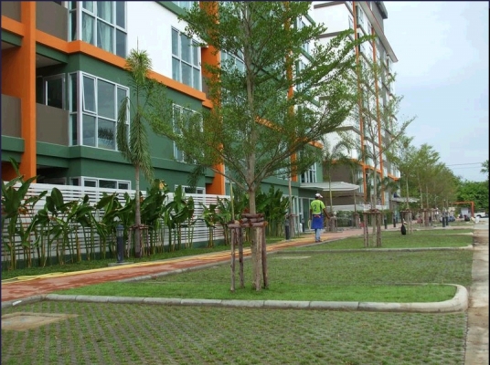 ขาย-พิมพ์อิฐบล็อกปลูกหญ้า พร้อมแท่นกลับบล็อก ใช้ติดตั่งเครื่องอิฐบล็อกขนาด4ก้อนได้ ขาย-พิมพ์อิฐบล็อกปลูกหญ้า พร้อมแท่นกลับบล็อก ใช้ติดตั่งเครื่องอิฐบล็อกขนาด4ก้อนได้