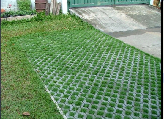 ขาย-พิมพ์อิฐบล็อกปลูกหญ้า พร้อมแท่นกลับบล็อก ใช้ติดตั่งเครื่องอิฐบล็อกขนาด4ก้อนได้ ขาย-พิมพ์อิฐบล็อกปลูกหญ้า พร้อมแท่นกลับบล็อก ใช้ติดตั่งเครื่องอิฐบล็อกขนาด4ก้อนได้