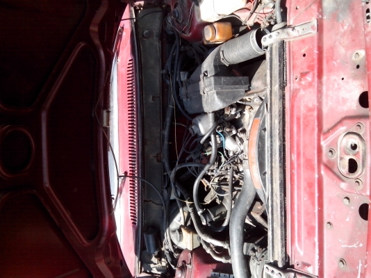 ขายวอนโว่264GL