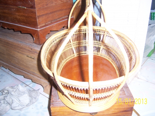 ขายตะกล้าหวายของใหม่