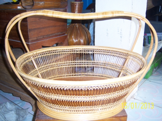 ขายตะกล้าหวายของใหม่