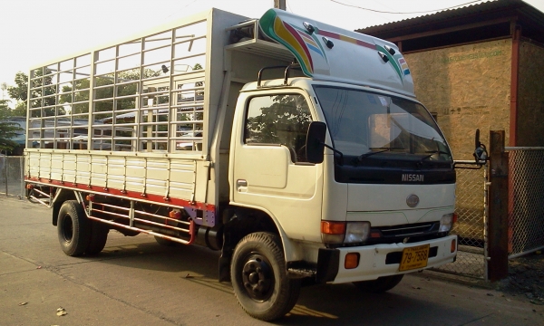 นิสสัน 6 ล้อ วางเครือง isuzu