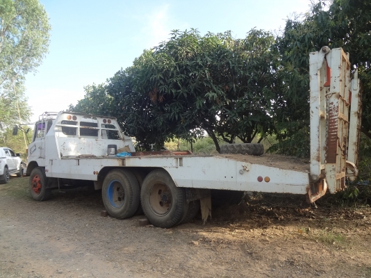 ขายเหมา รถเกี่ยวข้าว 2 คันอุ้ม1คัน ไม่อุ้ม1คัน เทเลอร์F18-1คัน ขายเหมา รถเกี่ยวข้าว 2 คันอุ้ม1คัน ไม่อุ้ม1คัน เทเลอร์F18-1คัน