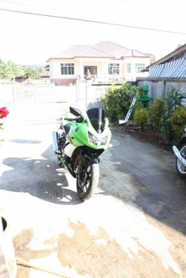 ขออนุญาติ ครับ ขายนินจา 250 r ปี 2009 special edition ขออนุญาติ ครับ ขายนินจา 250 r ปี 2009 special edition