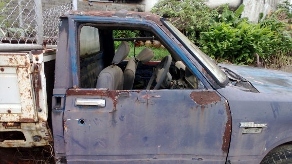 ขายซาก ม้ากระโดด