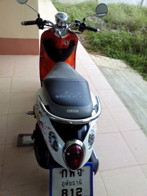 ฟีโน่ปี50