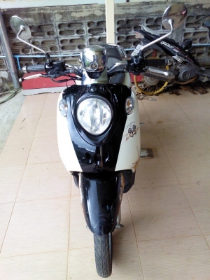 ฟีโน่ปี50