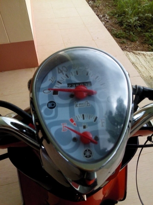 ฟีโน่ปี50