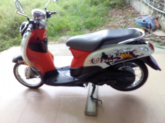 ฟีโน่ปี50