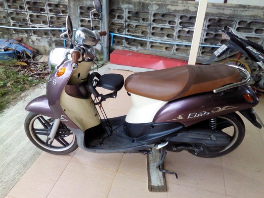 ฟีโน่ปี52แม็ก