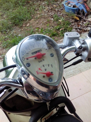 ฟีโน่ปี52แม็ก