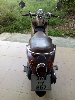 ฟีโน่ปี52แม็ก