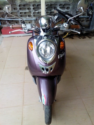 ฟีโน่ปี52แม็ก