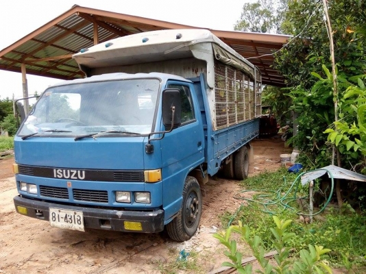 ขายด่วน NPR115ปี 2536 ห้างแท้ รถเดิมบางทั้งคัน ขายด่วน NPR115ปี 2536 ห้างแท้ รถเดิมบางทั้งคัน