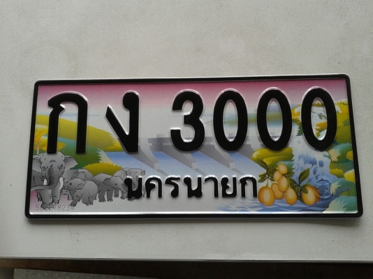 ขายป้ายทะเบียนประมูล กง 3000 จังหวัดนครนายก พร้อมโอนกรรมสิทธิ ป้ายใหม่ยังไม่จดทะเบียน ขายป้ายทะเบียนประมูล กง 3000 จังหวัดนครนายก พร้อมโอนกรรมสิทธิ ป้ายใหม่ยังไม่จดทะเบียน
