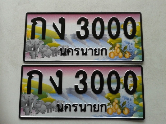 ขายป้ายทะเบียนประมูล กง 3000 จังหวัดนครนายก พร้อมโอนกรรมสิทธิ ป้ายใหม่ยังไม่จดทะเบียน