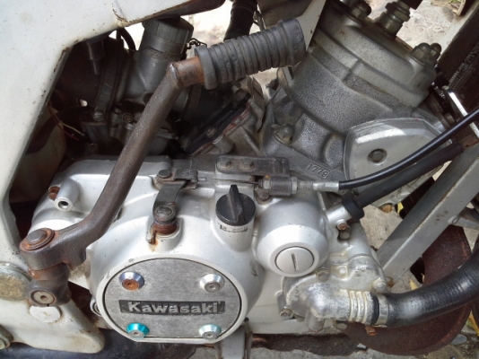 ขายเซอร์ปีโก้