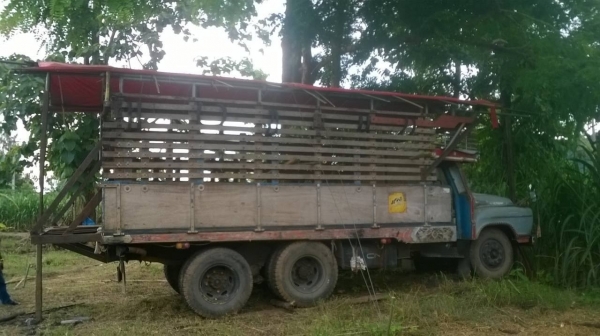 ขาย 10 ล้อหัวยาวเพลาเดียวช่วงล่างใหญ่ F18 เครื่อง 6BF1 185 แรงม้า คัสซีสวยจัด สโลว์กลาง ยางเต็ม ทะเบียนเต็มพร้อมโอนครับ