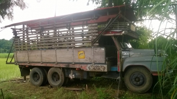 ขาย 10 ล้อหัวยาวเพลาเดียวช่วงล่างใหญ่ F18 เครื่อง 6BF1 185 แรงม้า คัสซีสวยจัด สโลว์กลาง ยางเต็ม ทะเบียนเต็มพร้อมโอนครับ