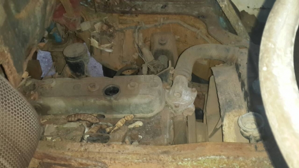 หกล้อ isuzu เครื่อง 4BA ทะเบียน ม.79 คันชีสวยไม่มีบวม